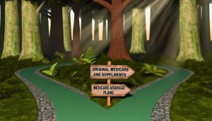 Does Mayo Clinic Accept UnitedHealthcare Medicare Advantage Plans?, Medicare Advantage vs. Original Medicare: What Mayo Clinic Supports