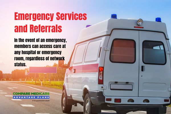 Emergencies and Referrals