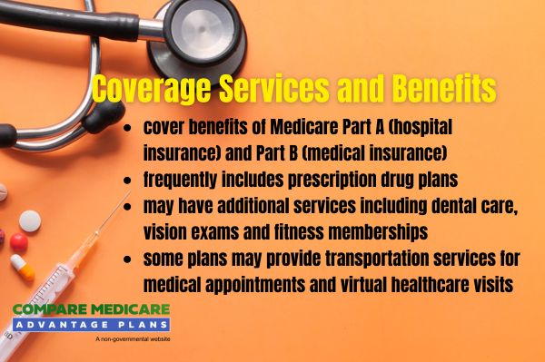 Overview of Minnesota Medicare Advantage Plans 2026