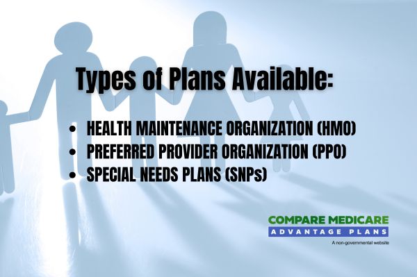 Types of Wellcare Medicare Advantage Plans Available