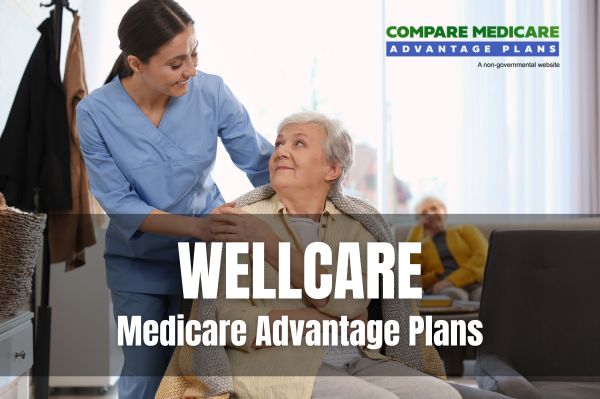 Understanding Wellcare Medicare Advantage Plans 2026