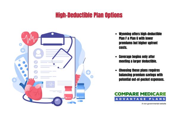 High-Deductible Plan Options